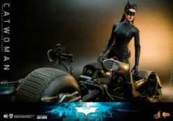 *PRE-ORDER Catwoman - Batman: The Dark Knight Hot Toys Collectibles 1/6 Scale Action Figure -STAR ACTION FIGURES Shop catwoman dc comics gallery 61b033290ff4c