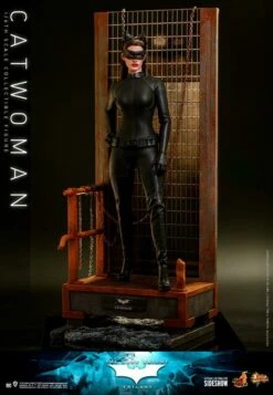 *PRE-ORDER Catwoman - Batman: The Dark Knight Hot Toys Collectibles 1/6 Scale Action Figure